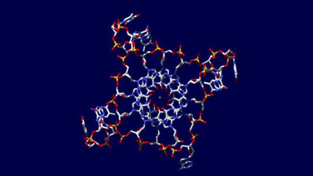 The quadruple helix of DNA could be the key to the fight against cancer