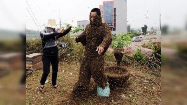 Fotos de intento de récord: 33 kilos de abejas se posan sobre cuerpo de un apicultor chino