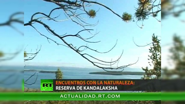 ENCUENTROS CON LA NATURALEZA : RESERVA DE KANDALAKSHA