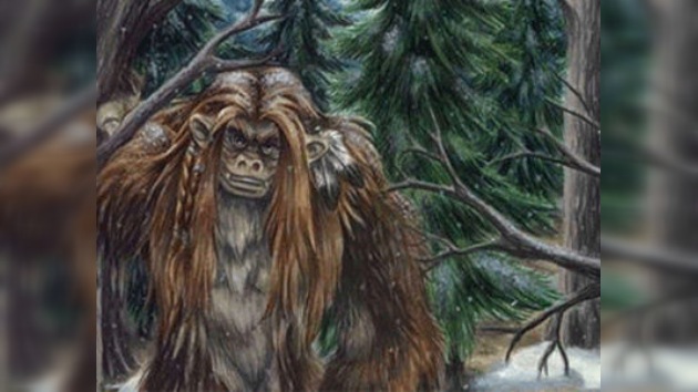 Oso, mono o yeti... ¿Qué atraparon en la república rusa de Ingushetia?