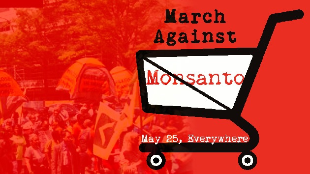 Ocupa Monsanto: la voz internacional contra los cultivos transgénicos
