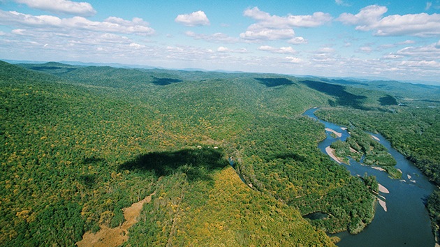 WWF: "Rusia es la única gran economía donde los biorrecursos aumentan"