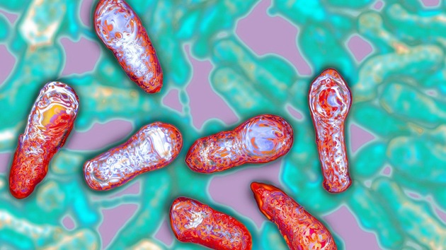 Hallan la toxina más mortal del mundo y mantienen en secreto su secuencia genética