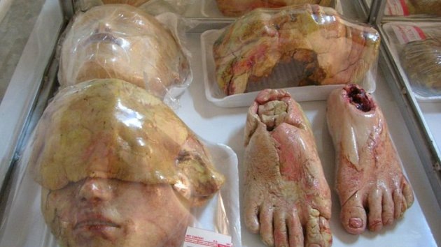 Fotos: Pan y circo se reúnen en una pastelería macabra