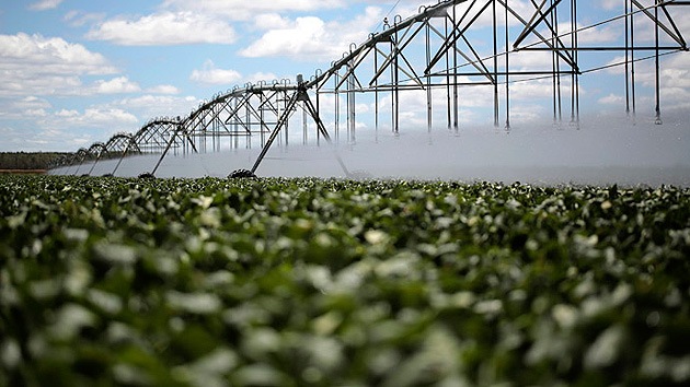 Agricultores brasileños a Monsanto: Devuélvenos nuestro dinero