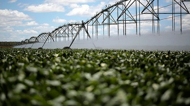 Agricultores brasileños a Monsanto: Devuélvenos nuestro dinero