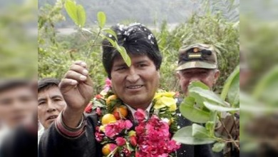 Evo Morales propone legalizar siembra de coca en Bolivia