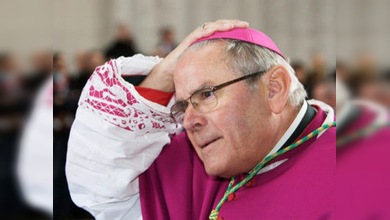 El Vaticano considera abierto el caso por pedofilia del exobispo Roger Vangheluwe