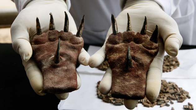 Arqueólogos peruanos hallan extraño atuendo felino en una tumba de hace 1.500 años