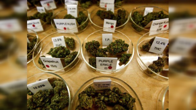 El Gobierno de Jamaica evalúa la despenalización de la marihuana