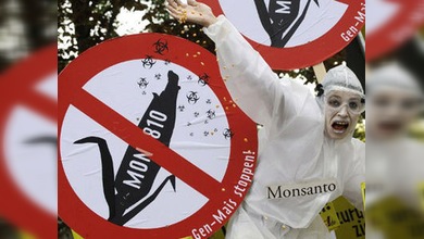 'Occupy' se planta ante los cultivos transgénicos