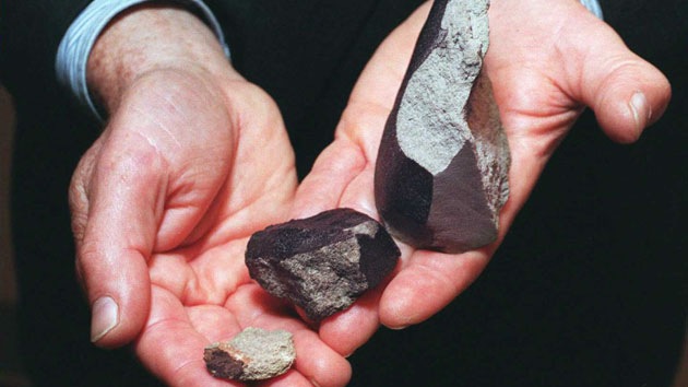 La vitamina B3 provendría del espacio y habría llegado a la Tierra con los meteoritos