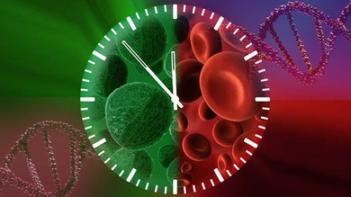 Científicos del Reino Unido logran regenerar un órgano vivo por primera vez en la historia