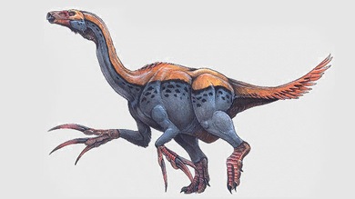 Descubren una colonia de dinosaurios "raros" en el desierto del Gobi