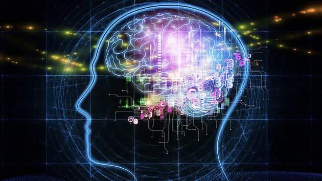 Un científico dona su cerebro... a los robots