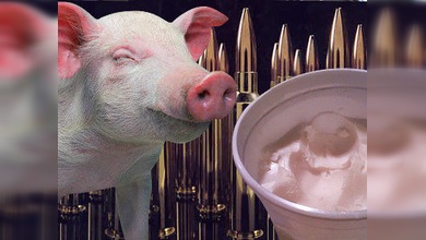 ¿Osama bin Laden abatido por balas “de cerdo”?