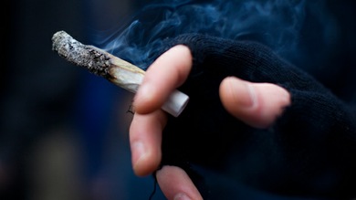 Efectos de la marihuana: el cerebro se reduce de tamaño, pero trabaja más rápido