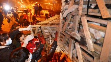 Fotos: En China salvan a un millar de gatos de convertirse en 'manjares'