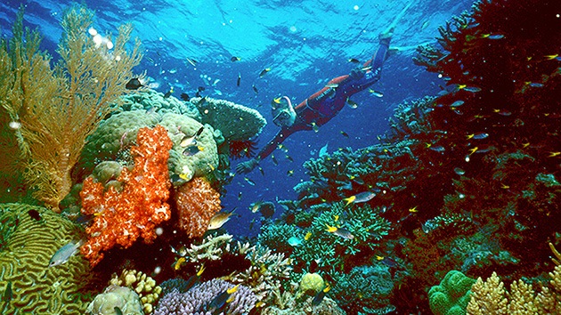 Australia: permiten un enorme vertido de barro en la Gran Barrera de Coral