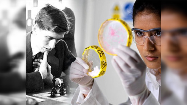 Fueron exhumados los restos de Bobby Fischer
