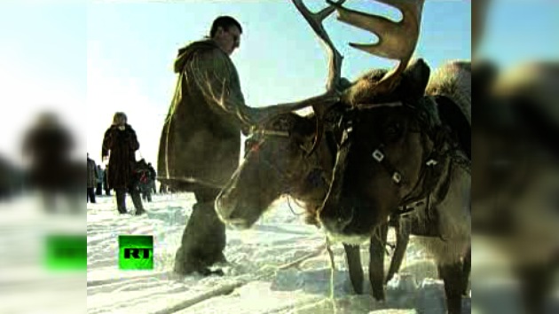 PUEBLOS AUTÓCTONOS DE RUSIA : LOS SAAMI