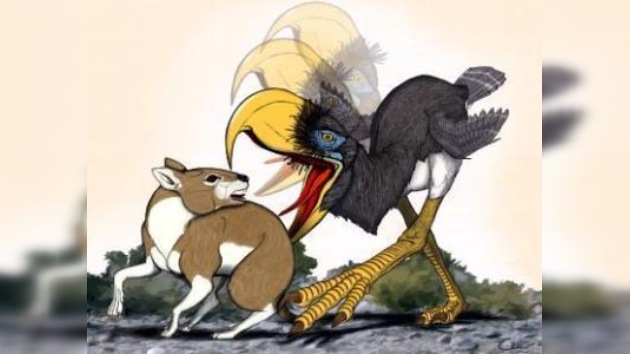 La danza mortal de las 'aves del terror'