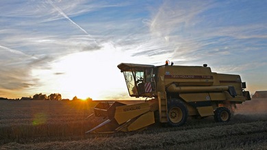Un herbicida de Monsanto, hallado en la orina de ciudadanos europeos