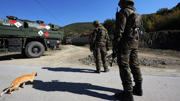 Una militar de la OTAN, procesada por salvar la vida de una gata en Kosovo