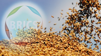 Moscú puede reemplazar a los países de la OTAN por los BRICS en el sector alimentario