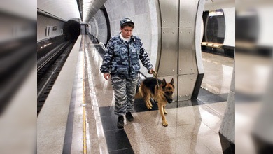 Los perros ayudan a combatir el terrorismo en el metro de Moscú
