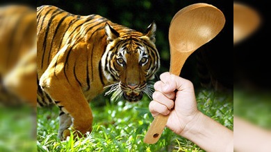 Un tigre no resistió el ataque de una mujer malaya enfurecida