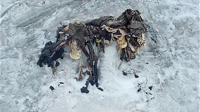 Fotos: El derretimiento de glaciares en Italia expone momias