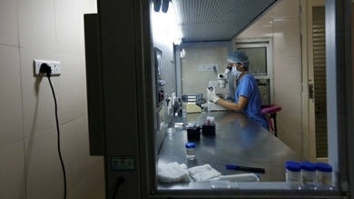 Médicos de EE.UU. curan la leucemia con el VIH