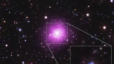 Video: La mayor 'fábrica' de estrellas del universo