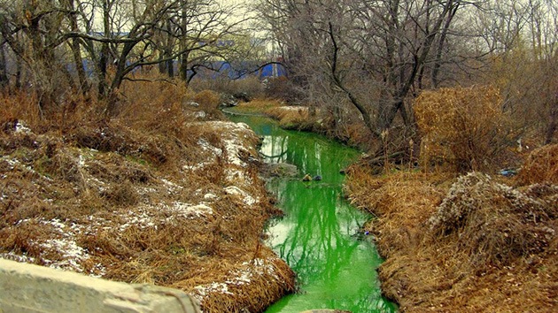 Fotos: Las aguas de un río ruso se tiñen de verde