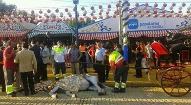 La otra cara de las fiestas españolas: Denuncian muertes de caballos extenuados
