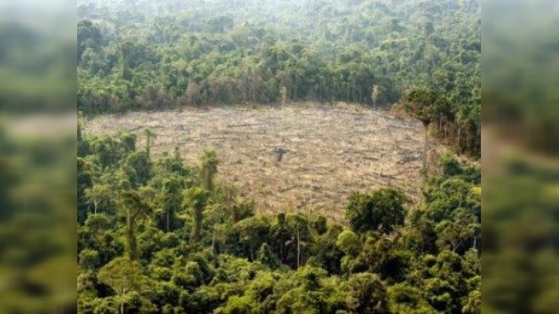 El progreso vuelve a amenazar a los 'pulmones del planeta'