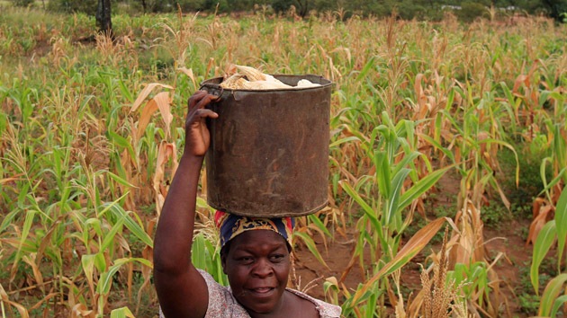 ¿Ha comprado Corea del Norte tierras en Zimbabue?