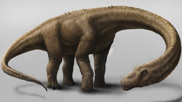 Gigante que "no temía a nada": descubren un dinosaurio que pesaba más que un Boeing 737