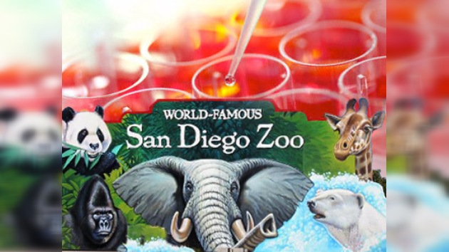 Células madre podrían viabilizar un 'Parque Jurásico' en San Diego