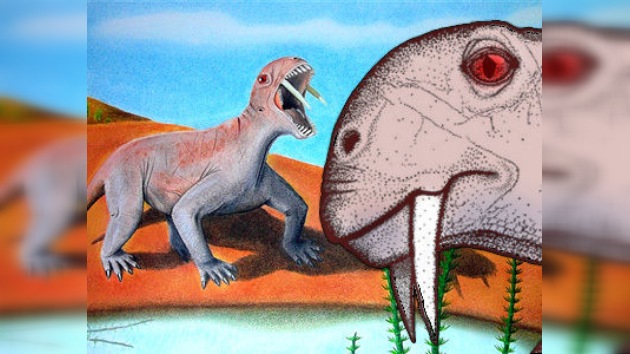 Descubren en Brasil una nueva especie de animal prehistórico