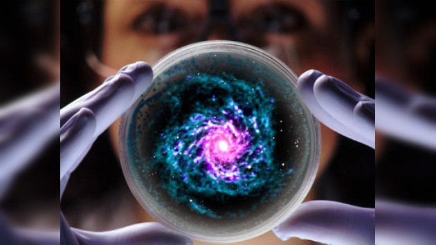 Descubren una posible 'semilla de la vida' de origen extraterrestre
