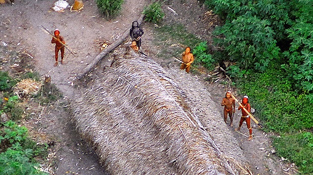 La tribu que recientemente salió al mundo regresa a la selva a pesar de los peligros