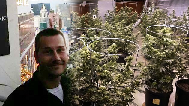 Arrestan a un vendedor de marihuana que se anunció durante tres años en YouTube