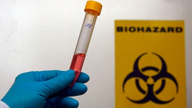 Descubren que un virus peligroso necesita pocas horas para infectar un edificio entero