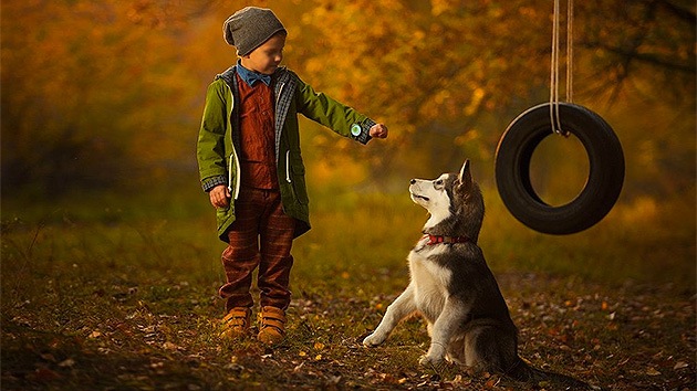 ¿Qué pasa por la cabeza de un perro?