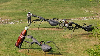 Las hormigas tienen la clave para crear robots de rescate