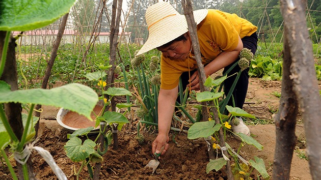 Más de 3 millones de hectáreas de tierra en China están contaminadas