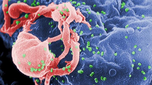 Descubren una proteína en la leche materna que puede neutralizar el virus del sida