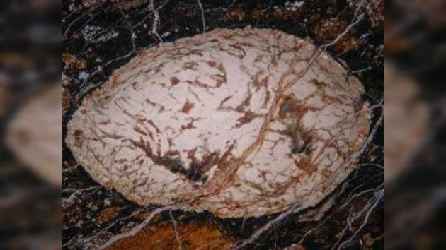 'Huevo roto' cósmico almacenaba un mineral más antiguo que la Tierra